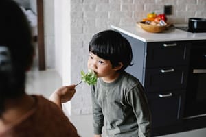 picky eater is fed vegetables by his mother